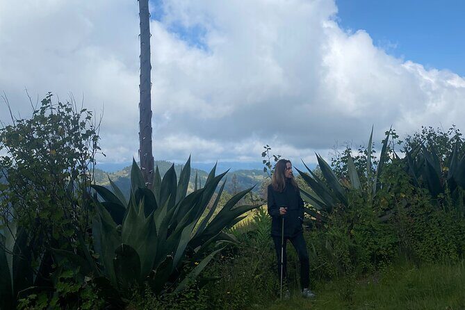 Hike in the Sierra Norte, Cuajimoloyas - Breakfast first: Tea, coffee, and trail mix to start smart