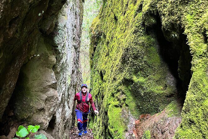 Hike in the Sierra Norte, Cuajimoloyas - Guides in action: Pao’s edible plants and Israel’s Sierra Norte context