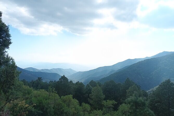 Hiking in Sierra Norte the most spectacular trails in Oaxaca - Your guide matters: Daniel’s hummingbird lessons and coffee stop