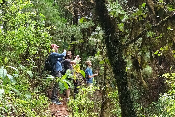 Hiking in Sierra Norte the most spectacular trails in Oaxaca - Weather and timing: why the Sierra Norte hike depends on clear conditions