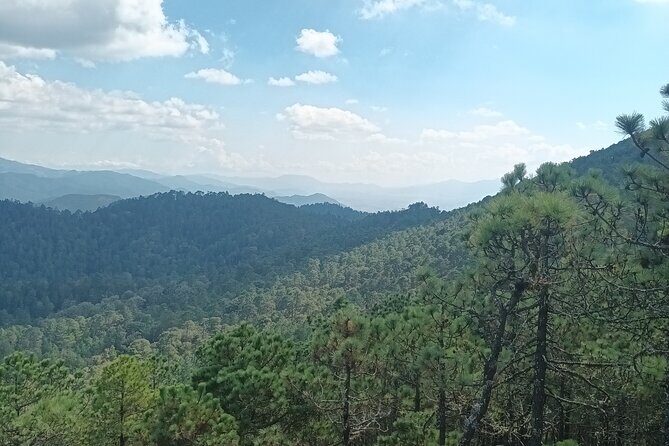Hiking in Sierra Norte the most spectacular trails in Oaxaca - Who this tour fits best (and who should think twice)