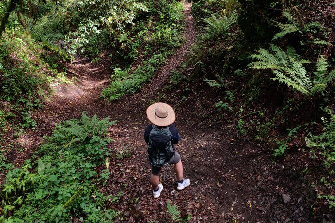 Hiking in the Sierra Norte of Oaxaca - Key highlights you’ll actually feel