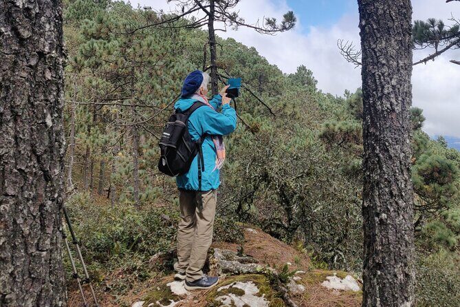 Hiking in the Sierra Norte of Oaxaca - Choosing your distance: short, intermediate, or long, plus pacing reality