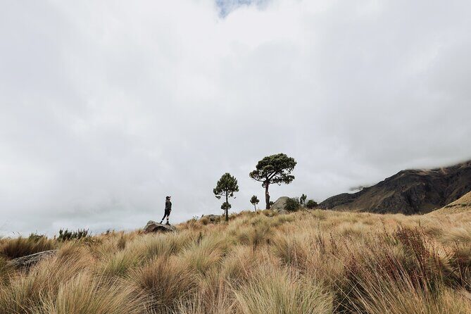 Hiking Tour on the Iztaccíhuatl Volcano from Puebla - Guide Quality You Can Feel in the Details (Aaron, Ariel, Susana)