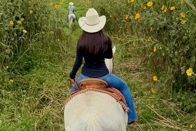 Horseback, Culture & Mexican Flavors Experience - Key things to know before you go