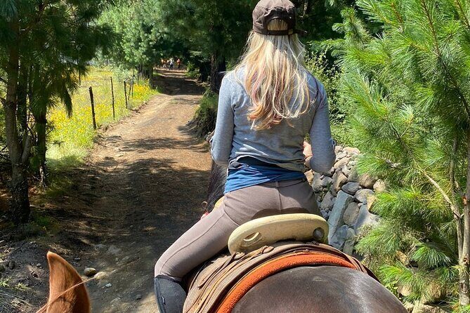 Horseback, Culture & Mexican Flavors Experience - Getting out of Mexico City: meeting point, private transfer, and real timing
