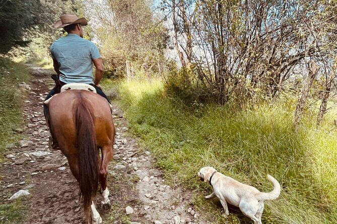 Horseback, Culture & Mexican Flavors Experience - Ranch lunch and drinks: Mexican barbecue that actually feels like a meal