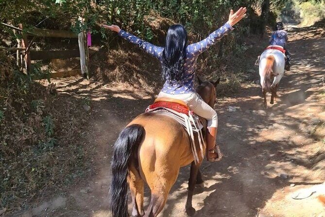 Horseback, Culture & Mexican Flavors Experience - Price and value: is $239 worth it for a Mexico City escape?