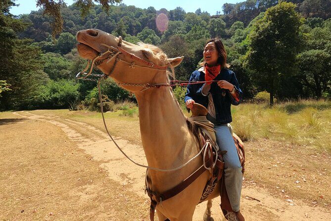 Horseback Riding in the Forest and Breakfast in Cabin - Key points at a glance