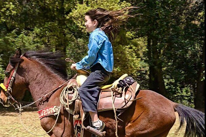Horseback Riding in the Forest and Breakfast in Cabin - How the timing works: travel, ride, lunch, then back