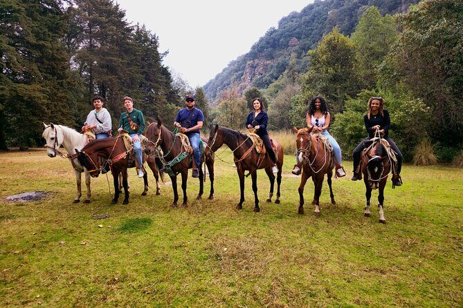 Horseback Riding in the Forest and Breakfast in Cabin - Who should book this tour, and who should skip it