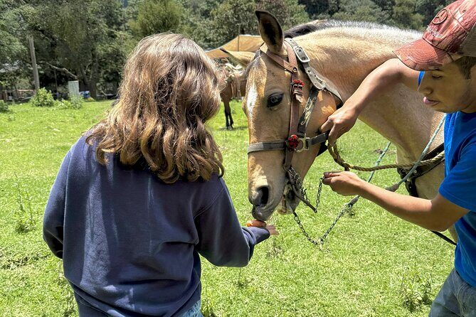 Horseback Riding in the Forest and Breakfast in Cabin - Value check: does $161.20 make sense?