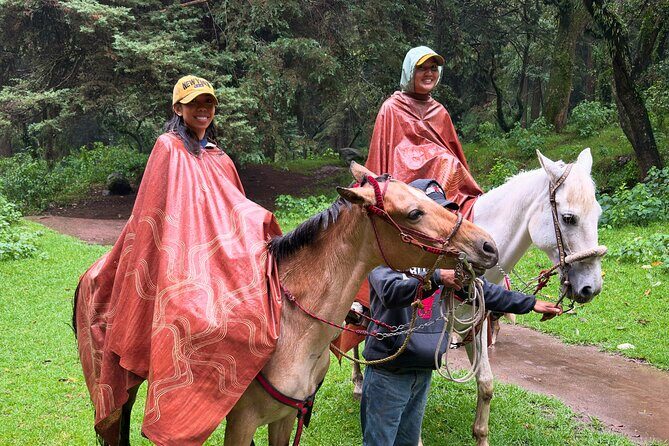 Horseback Riding in the Forest and Breakfast in Cabin - Los Dinamos horseback riding: first-time comfort with real terrain