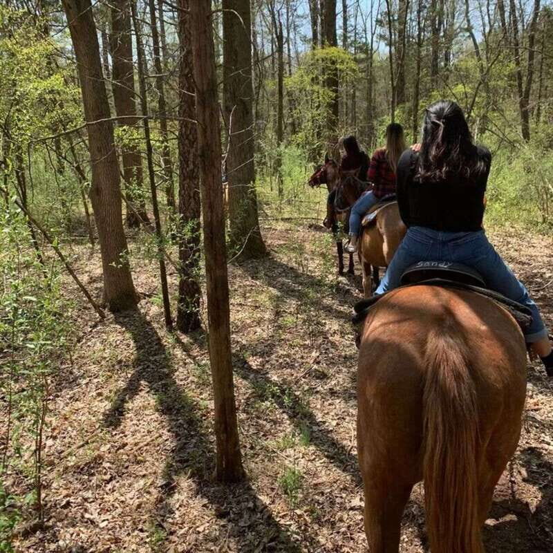 Horseback Riding in the Guanajuato Hills - Small Practical Tips That Make the Day Easier