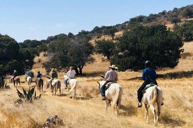 Horseback Riding through Mexican Haciendas - Key highlights you’ll care about