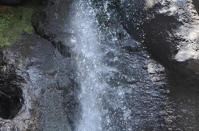Immerse in the Nature: Deep Connection through Forest Bathing - Guided Relaxation Exercises and Reflection That Actually Lands