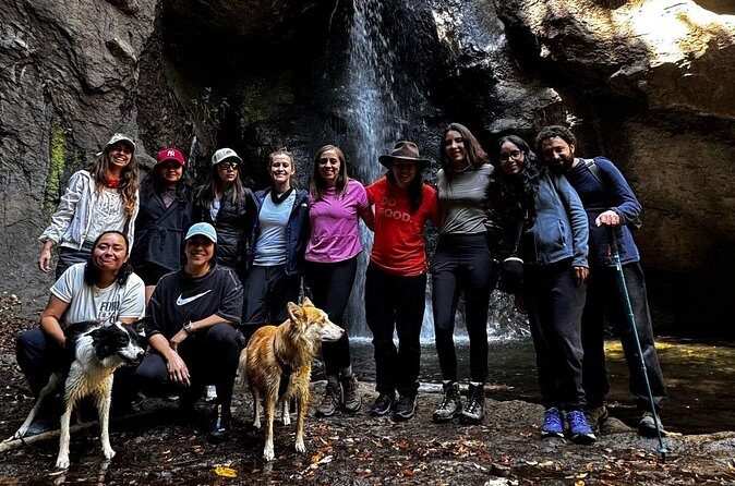 Immerse in the Nature: Deep Connection through Forest Bathing - What’s Included in the Price, and Where the Value Comes From