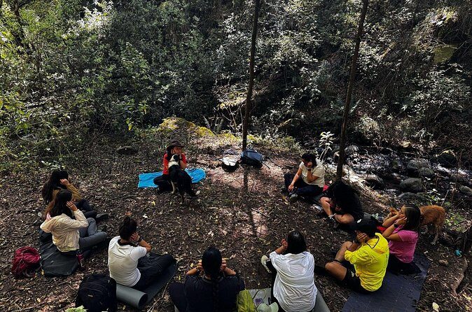 Immerse in the Nature: Deep Connection through Forest Bathing - Pickup at Satélite and How the Timing Works