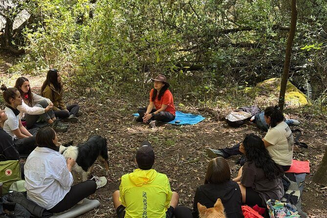 Immerse in the Nature: Deep Connection through Forest Bathing - Should You Book This Forest Bathing at Capoxi Dam?