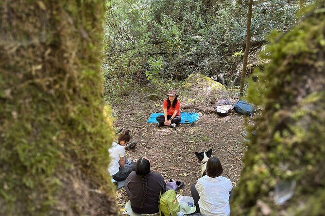 Immerse in the Nature: Deep Connection through Forest Bathing - The Sensory Walk: Stop, Notice, and Let Your Inner Child Participate