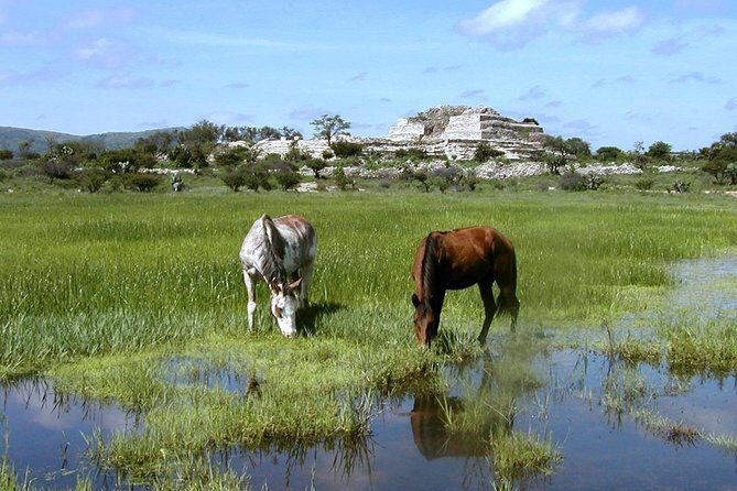 Immersive Cañada de La Virgen Pyramid Tour - Who should book (and who should pick a different day)