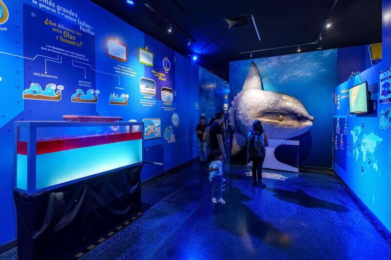 Inbursa Aquarium Entry Ticket with VR Option - Key things to know before you go