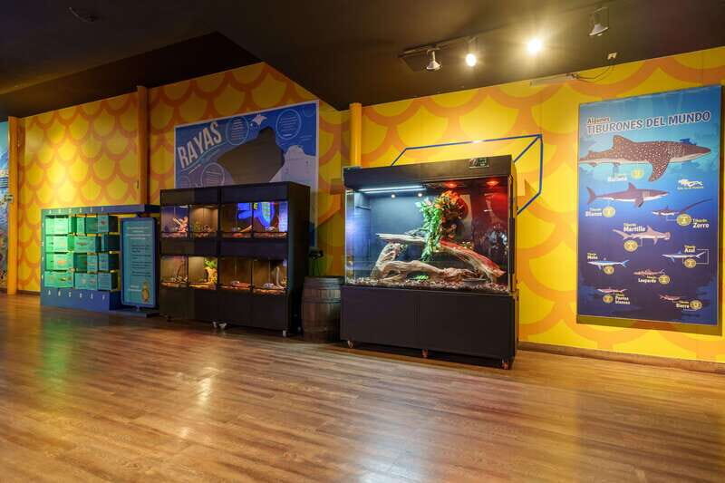 Inbursa Aquarium Entry Ticket with VR Option - A day inside the aquarium: pacing your visit the smart way