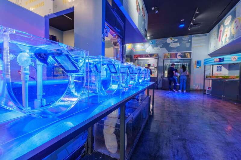 Inbursa Aquarium Entry Ticket with VR Option - The interactive aquarium: learning that doesn’t feel like a lecture