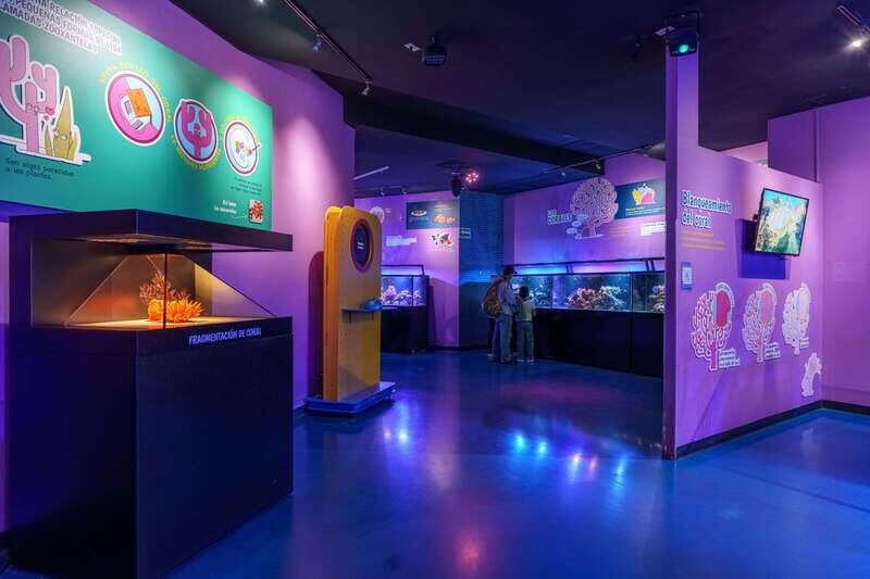 Inbursa Aquarium Entry Ticket with VR Option - Temporary exhibitions: why they matter (even if you don’t plan ahead)