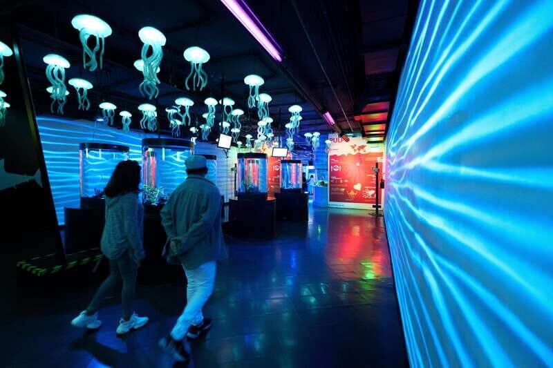 Inbursa Aquarium Entry Ticket with VR Option - What’s included, what’s not included, and what that means for your day
