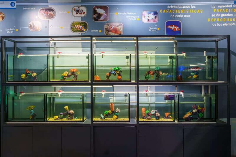 Inbursa Aquarium Entry Ticket with VR Option - Tickets, timing, and how long to plan
