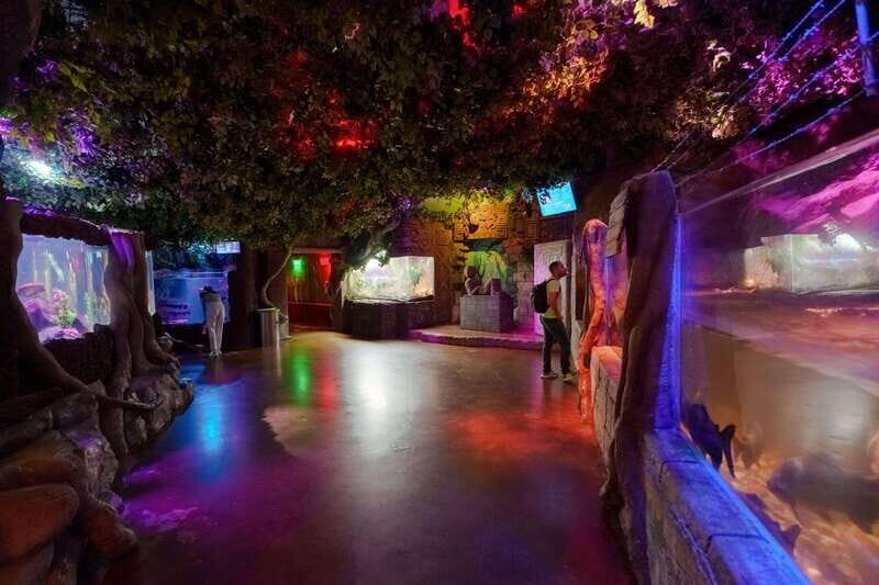 Inbursa Aquarium Entry Ticket with VR Option - Arriving and getting in fast at the priority entrance
