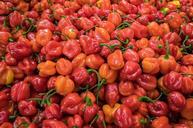 Journey Through La Merced - Why the market history lesson matters (not just trivia)