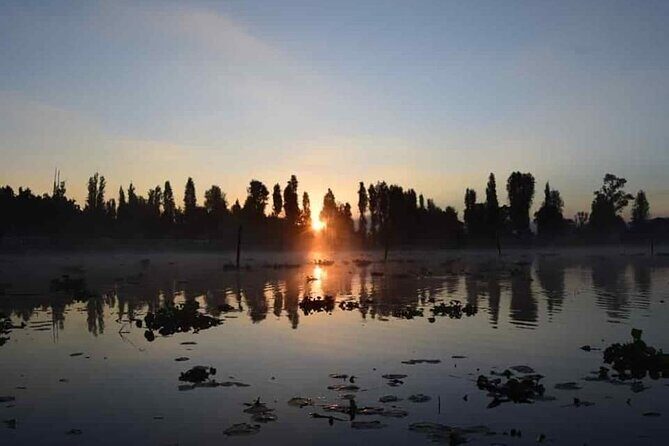 Kayak at sunrise in Xochimilco: agroecological experience - Sunrise Kayaking in Xochimilco: why this feels more “agroecology” than tourism