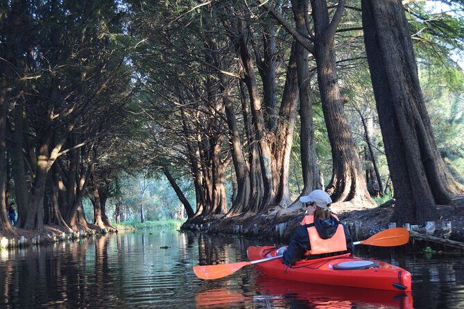 Kayak at sunrise in Xochimilco: agroecological experience - The guides, the pacing, and how the morning stays fun