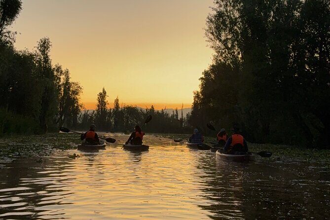Kayak at sunrise in Xochimilco: agroecological experience - Price and value at $107.60: what you’re really paying for