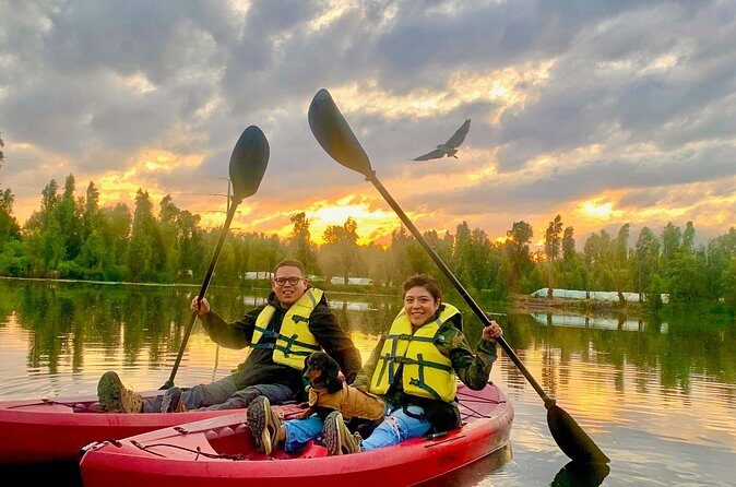 Kayak tour in Xochimilco - Price, breakfast add-on, and booking timing that actually helps