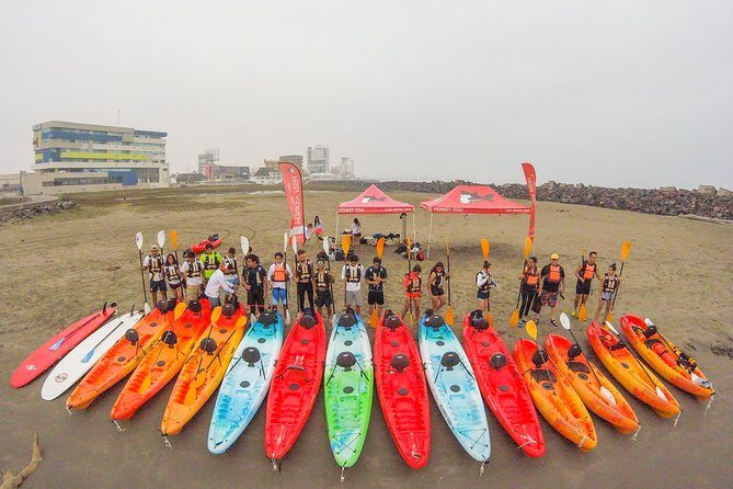 Kayaking on the Island of Sacrifices - Wildlife chances: turtles and dolphins, but with realistic expectations