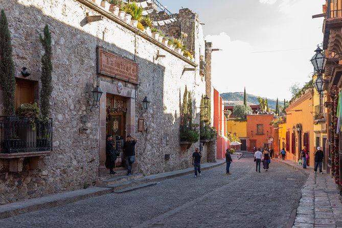 Landmarks and Lunch tour with Taste of San Miguel - Teatro Ángela Peralta and Bellas Artes: When Art and Old Buildings Blend