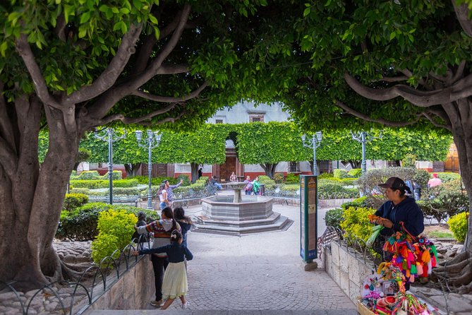 Landmarks and Lunch tour with Taste of San Miguel - Lunch in Downtown San Miguel: What You Actually Get for $59