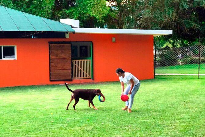 Las Estacas Natural Park Private Tour from Mexico City - Inside Las Estacas: heated pools, kids zone, and spa time