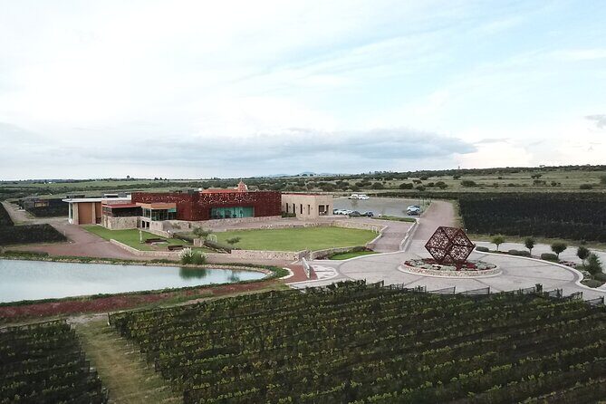 Local Vineyard Tour & Wine Tasting at the Independence Valley - Wine tasting format: pick your package and compare like a pro