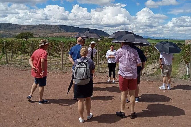 Local Vineyard Tour & Wine Tasting at the Independence Valley - Tres Raíces Winery: architecture, vines, and the walk you can smell