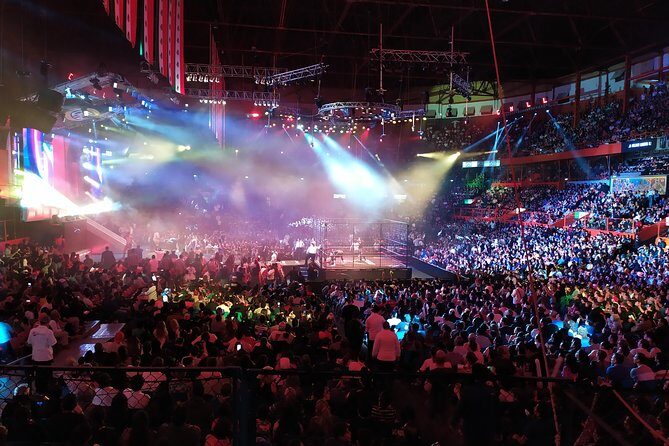Lucha Libre wrestling show, tacos and beer with artist - How the show feels when you know the story cues