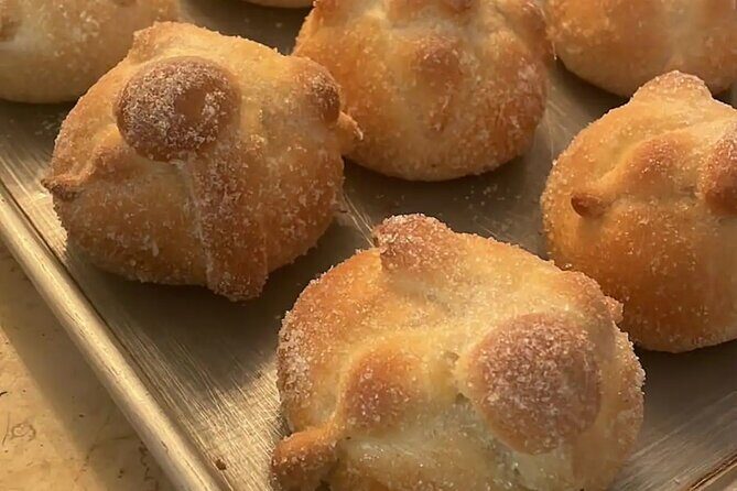 Mexican Bread Interactive Master Class - Pan de Muerto vs Concha: Choosing the Right Time for Your Bread Craving