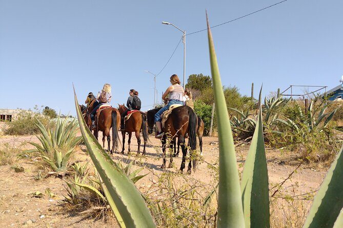 Mexican Equestrian Experience - Key highlights you’ll care about
