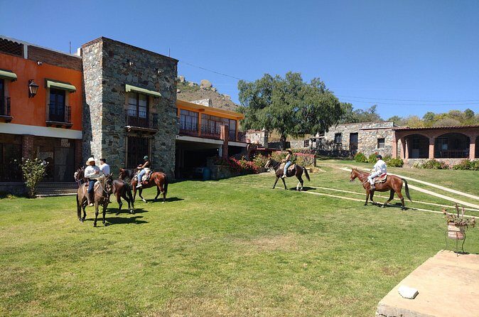 Mexican Equestrian Experience - The horses and the guide: what makes it feel safe