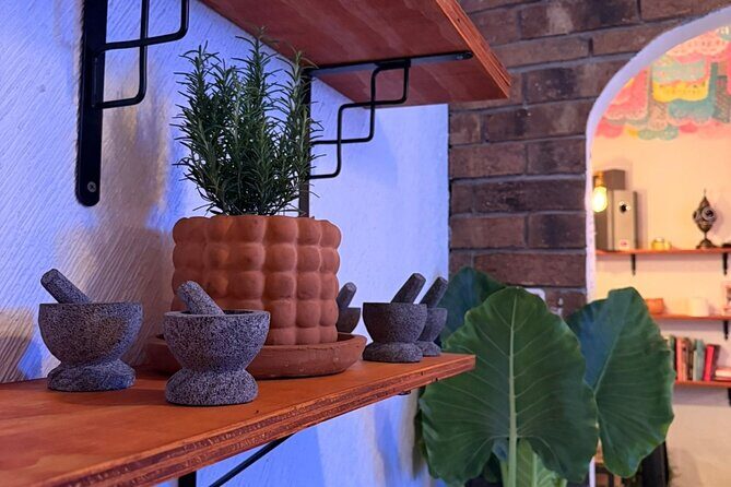 Mexican Mixology Workshop with Panoramic View in Coyoacán - Cocktails on a Scenic Coyoacán Balcony (and Why It’s Worth $74.46)