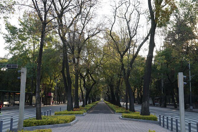 Mexico City: 19 City Highlights Bicycle Tour - Mexico Park, Estela de Luz, and Altar a la Patria: Big Symbols, Quick Context