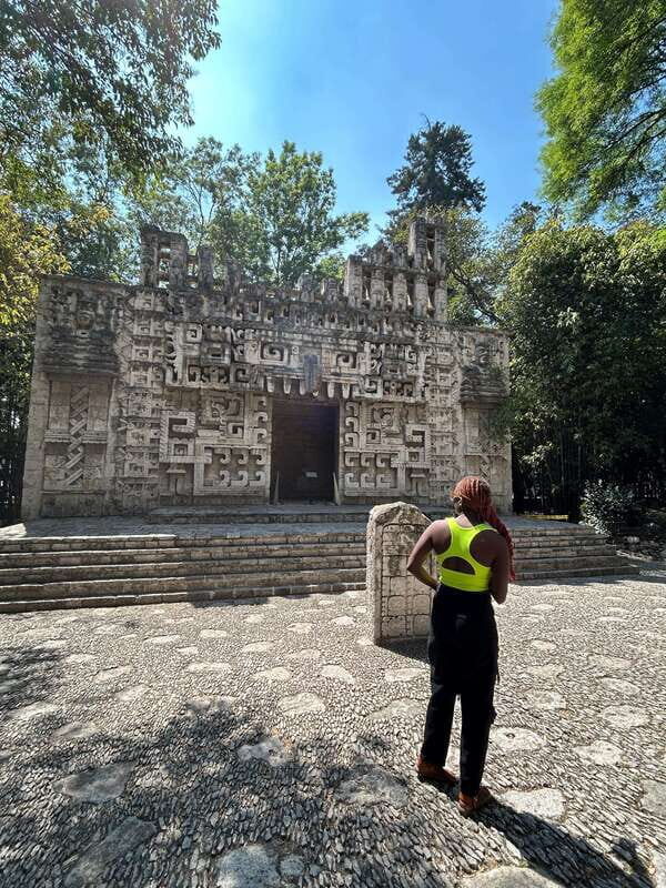 Mexico City: 1960s &1970s Mexican Architecture Walking Tour - Pacing, Group Size, and How the Tour Feels